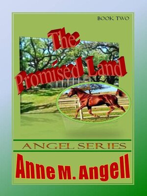 cover image of The Promised Land